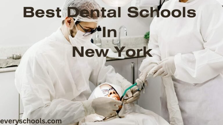 Best Dental Schools In New York
