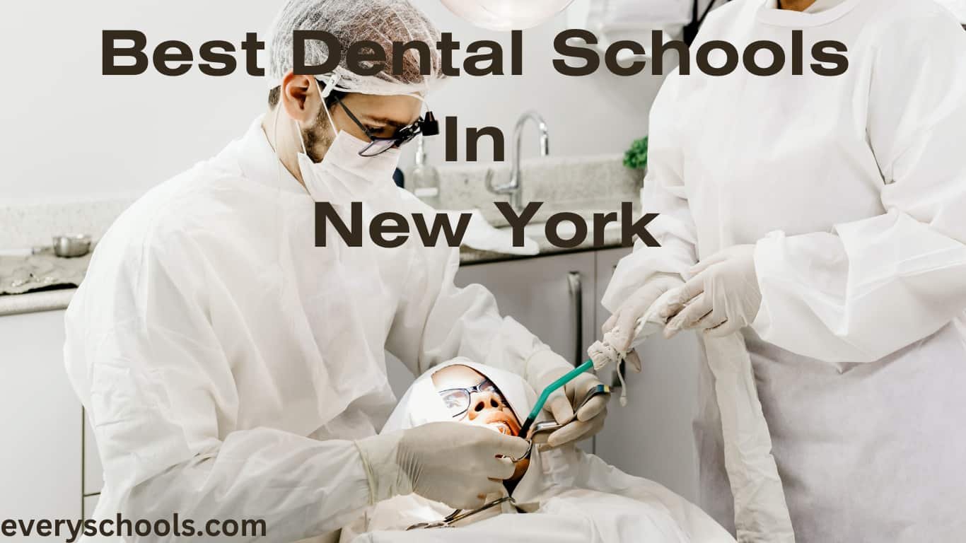 dental schools in New York
