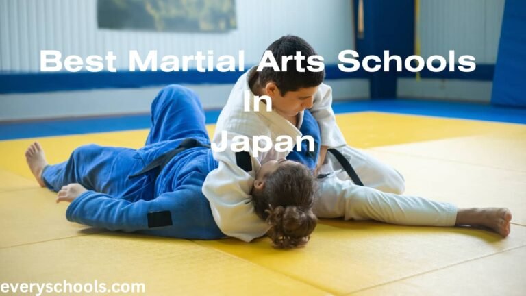 Best Martial Arts Schools In Japan