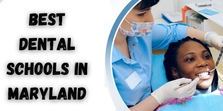 Best Dental Schools in Maryland