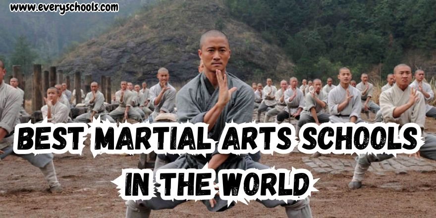 Best Martial Arts Schools in the World