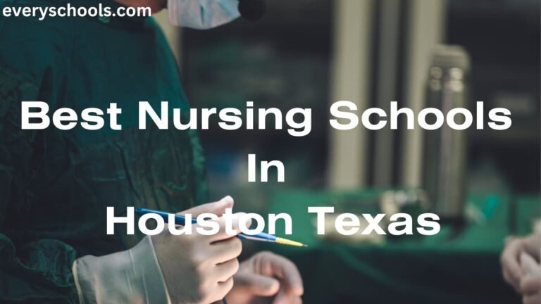 Best Nursing Schools In Houston Texas