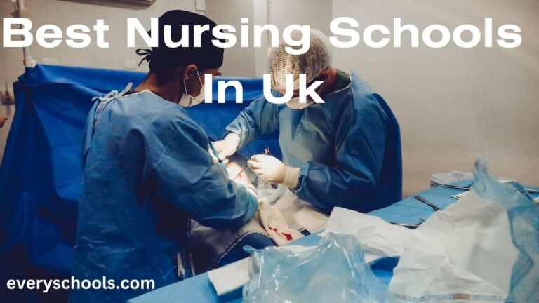 nursing schools in uk