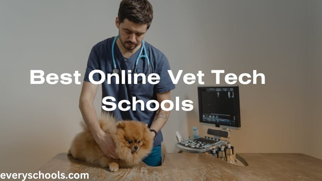 Best Online Vet Tech Schools 2024 Every Schools