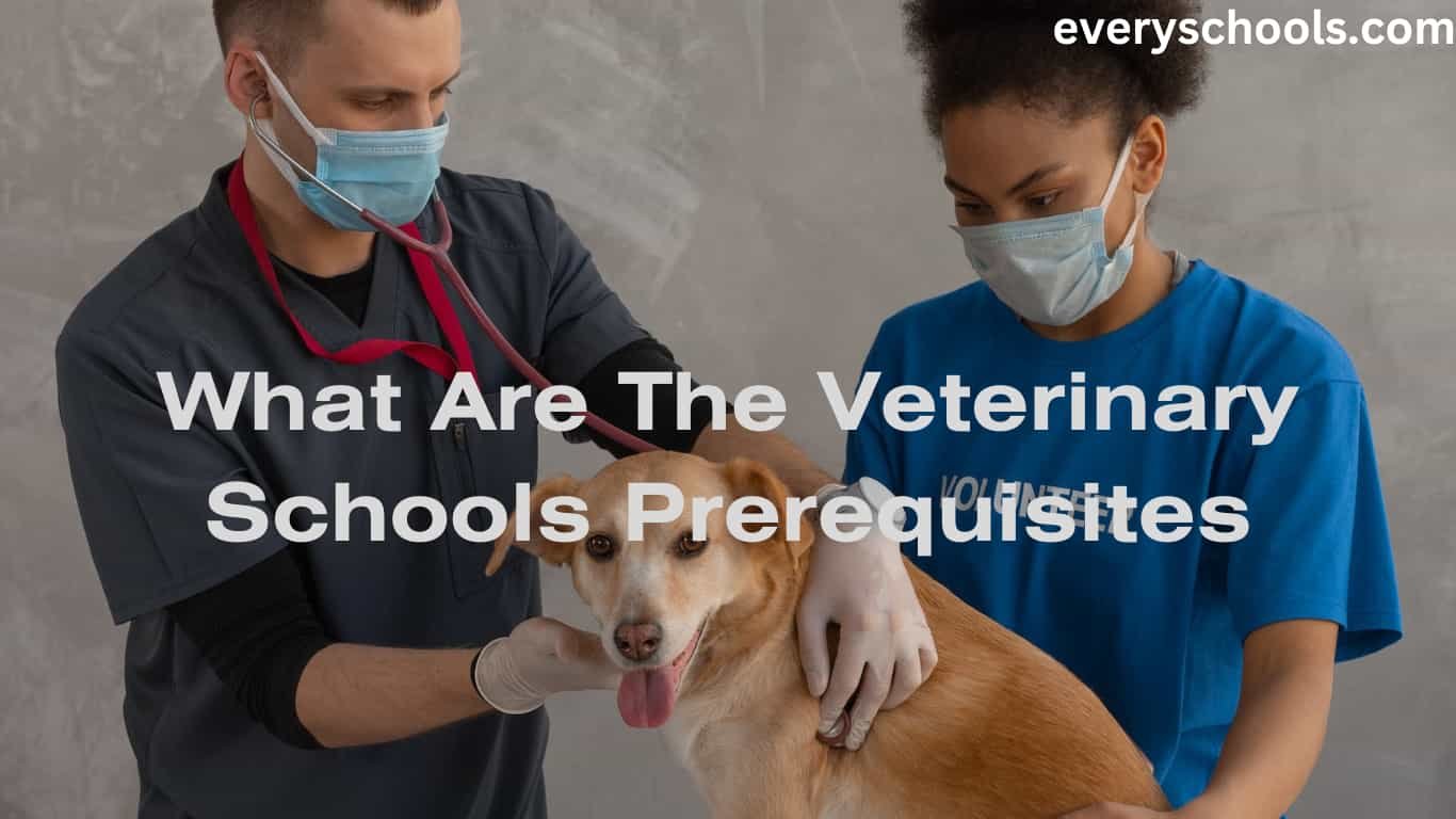 veterinary schools prerequisites
