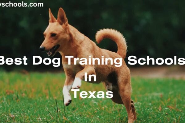 dog training schools in Texas