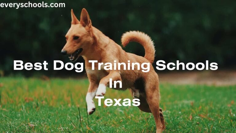 dog training schools in Texas