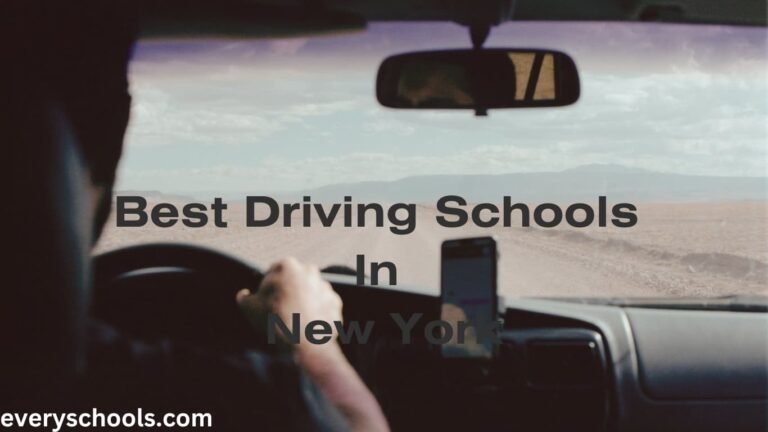 driving schools in New York