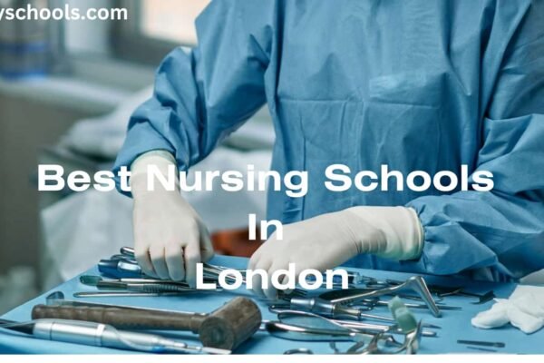 nursing schools in London