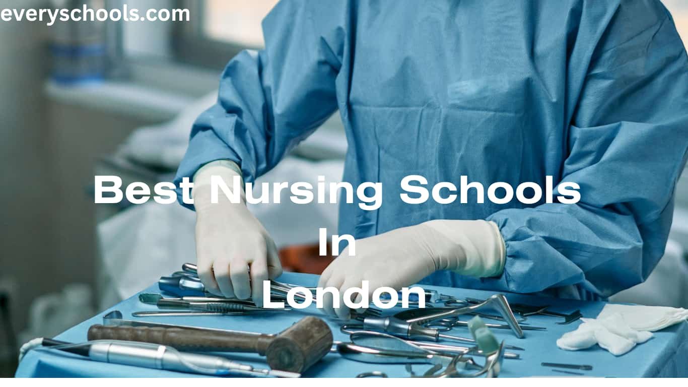 Best Nursing Schools In London 1 