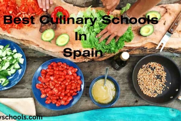 culinary schools in Spain