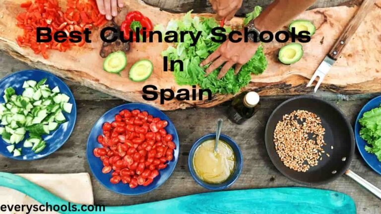 culinary schools in Spain