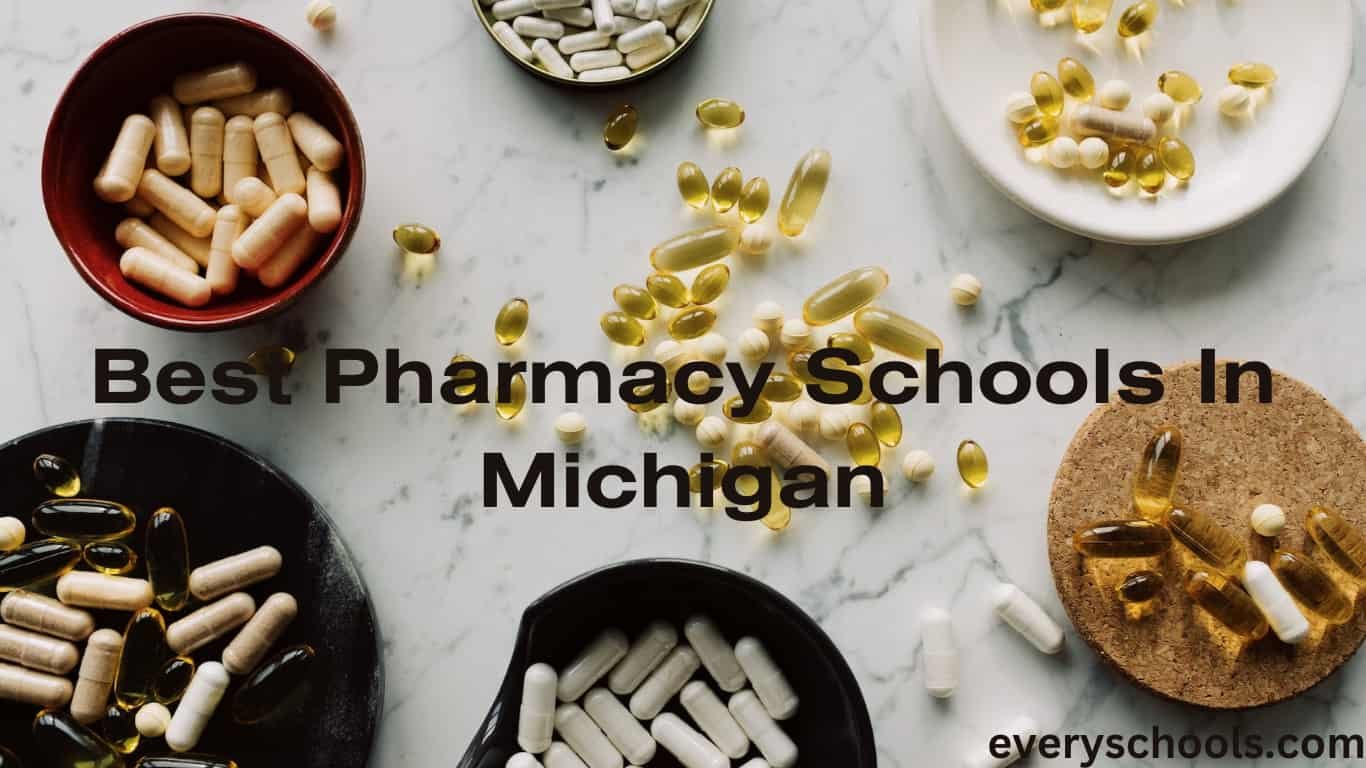 pharmacy schools in Michigan