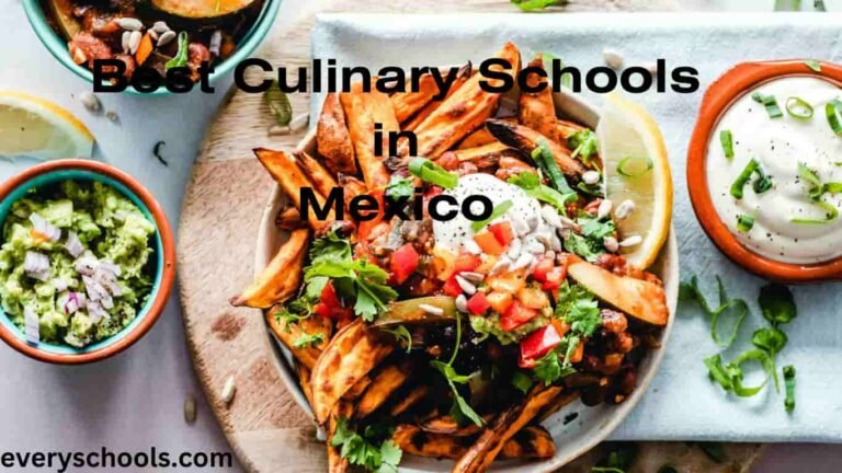 culinary schools in Mexico