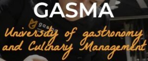 Gasma 17 Best Culinary Schools In Spain With Tuition Fees 2024 - Every Schools