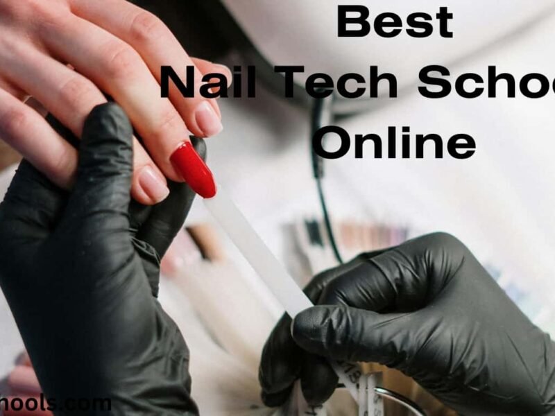 nail tech schools online
